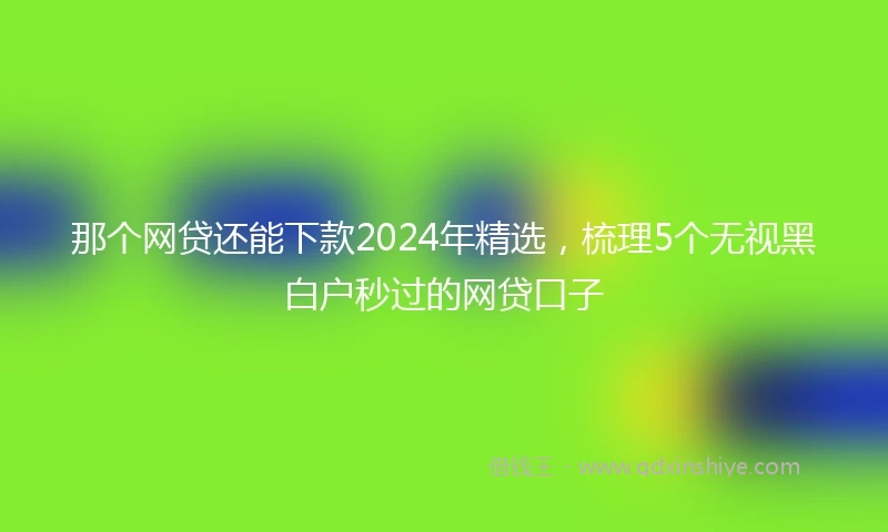 那个网贷还能下款2024年精选，梳理5个无视黑白户秒过的网贷口子