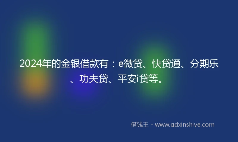 2024年的金银借款有：e微贷、快贷通、分期乐、功夫贷、平安i贷等。