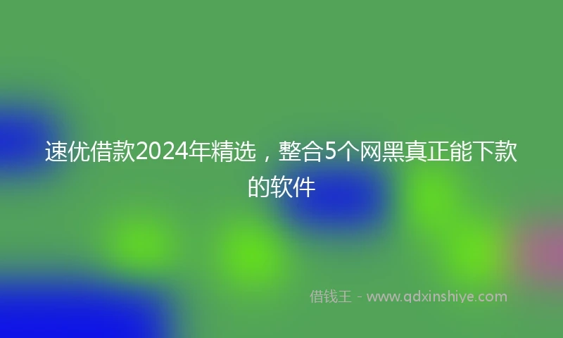 速优借款2024年精选，整合5个网黑真正能下款的软件