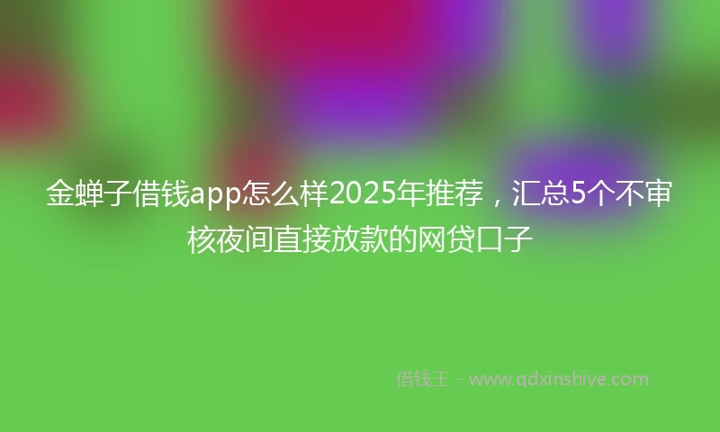 金蝉子借钱app怎么样2025年推荐，汇总5个不审核夜间直接放款的网贷口子