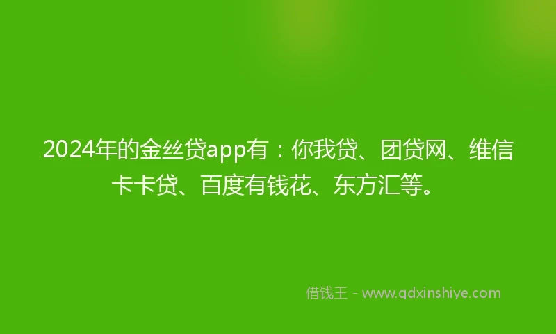 2024年的金丝贷app有：你我贷、团贷网、维信卡卡贷、百度有钱花、东方汇等。