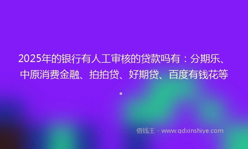 2025年的银行有人工审核的贷款吗有：分期乐、中原消费金融、拍拍贷、好期贷、百度有钱花等。