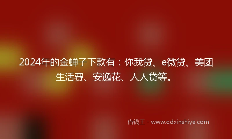 2024年的金蝉子下款有：你我贷、e微贷、美团生活费、安逸花、人人贷等。