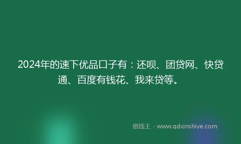 2024年的速下优品口子有：还呗、团贷网、快贷通、百度有钱花、我来贷等。