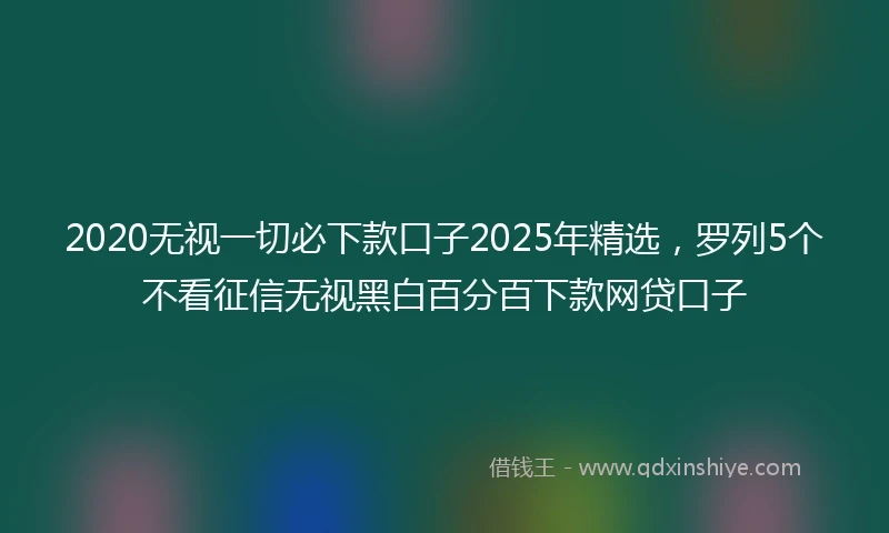2020无视一切必下款口子2025年精选，罗列5个不看征信无视黑白百分百下款网贷口子