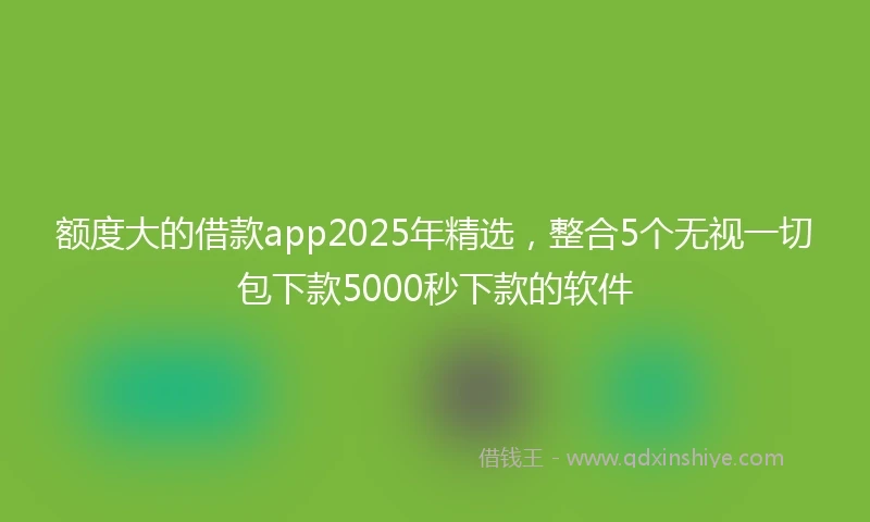 额度大的借款app2025年精选，整合5个无视一切包下款5000秒下款的软件