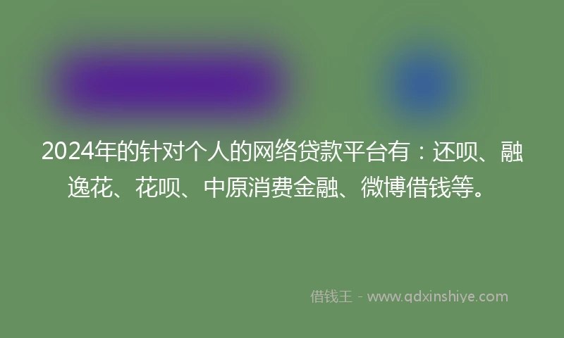 2024年的针对个人的网络贷款平台有：还呗、融逸花、花呗、中原消费金融、微博借钱等。