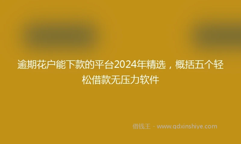 逾期花户能下款的平台2024年精选，概括五个轻松借款无压力软件
