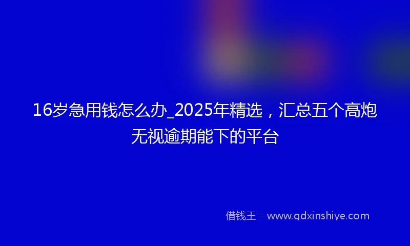 16岁急用钱怎么办_2025年精选，汇总五个高炮无视逾期能下的平台