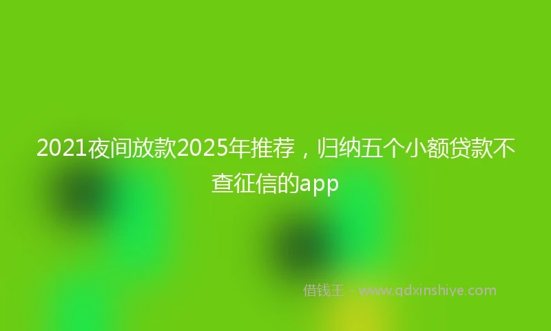 2021夜间放款2025年推荐，归纳五个小额贷款不查征信的app