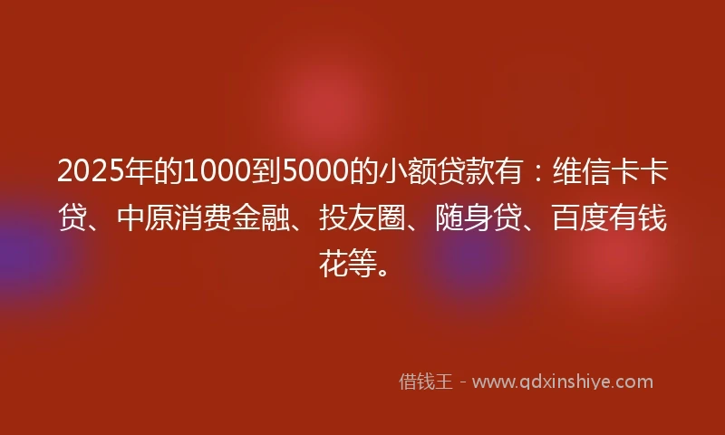 2025年的1000到5000的小额贷款有：维信卡卡贷、中原消费金融、投友圈、随身贷、百度有钱花等。
