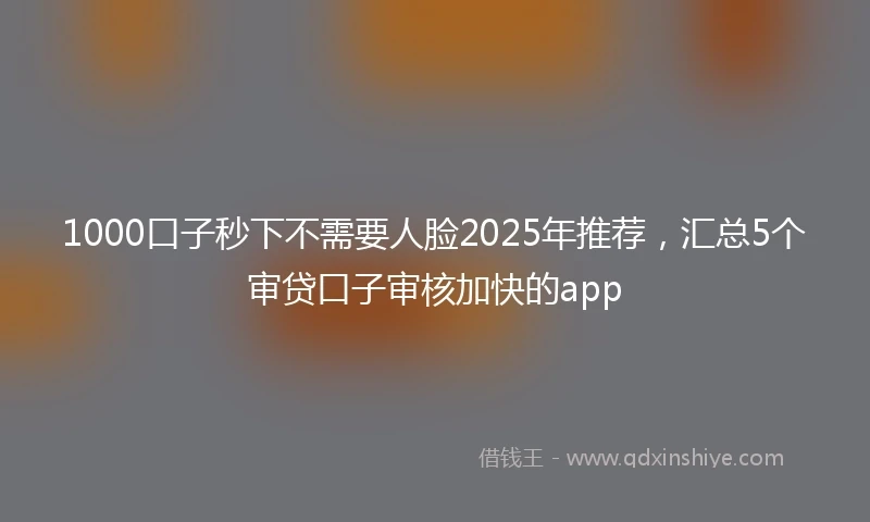 1000口子秒下不需要人脸2025年推荐，汇总5个审贷口子审核加快的app