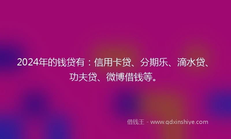 2024年的钱贷有：信用卡贷、分期乐、滴水贷、功夫贷、微博借钱等。