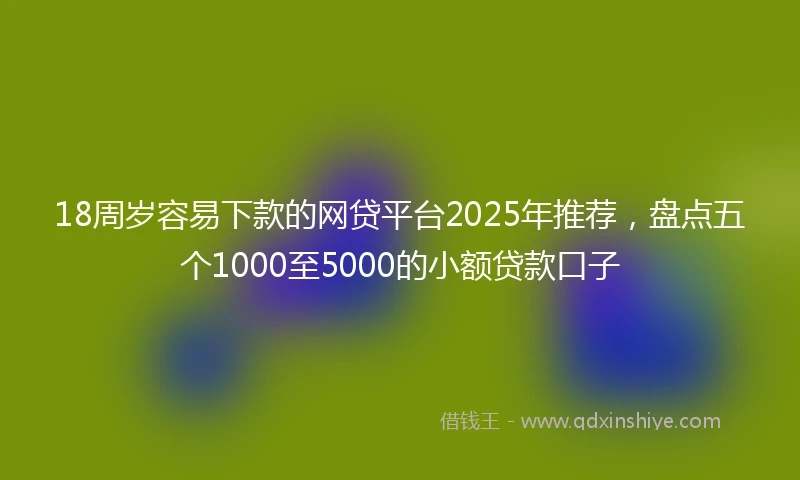 18周岁容易下款的网贷平台2025年推荐，盘点五个1000至5000的小额贷款口子