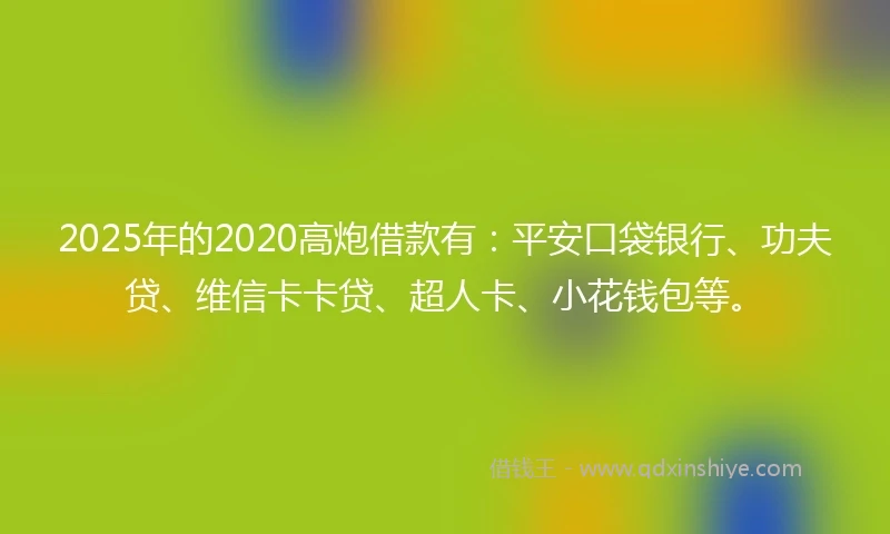 2025年的2020高炮借款有：平安口袋银行、功夫贷、维信卡卡贷、超人卡、小花钱包等。