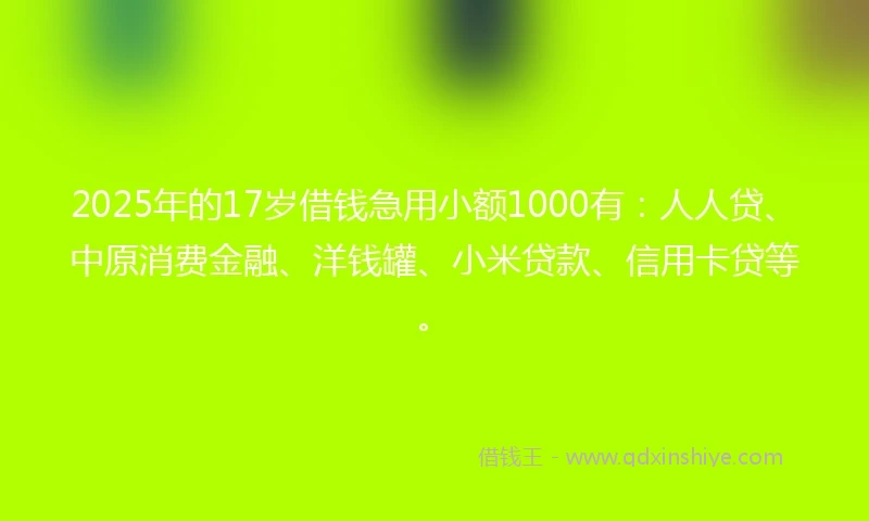 2025年的17岁借钱急用小额1000有：人人贷、中原消费金融、洋钱罐、小米贷款、信用卡贷等。