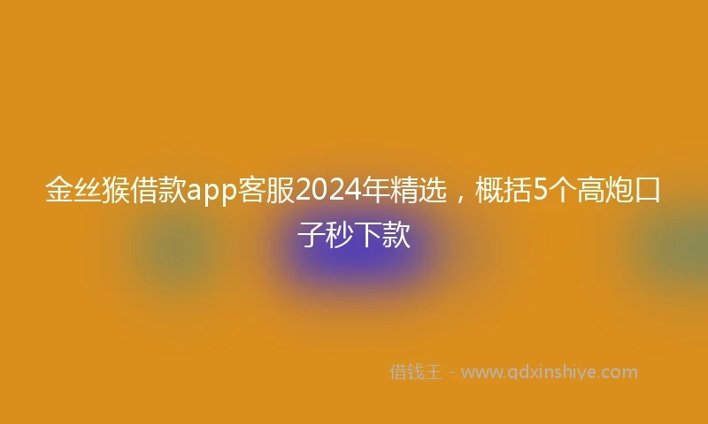 金丝猴借款app客服2024年精选，概括5个高炮口子秒下款