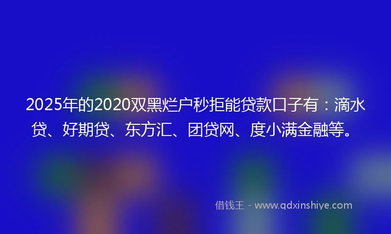 2025年的2020双黑烂户秒拒能贷款口子有：滴水贷、好期贷、东方汇、团贷网、度小满金融等。