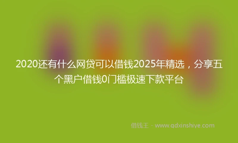 2020还有什么网贷可以借钱2025年精选，分享五个黑户借钱0门槛极速下款平台