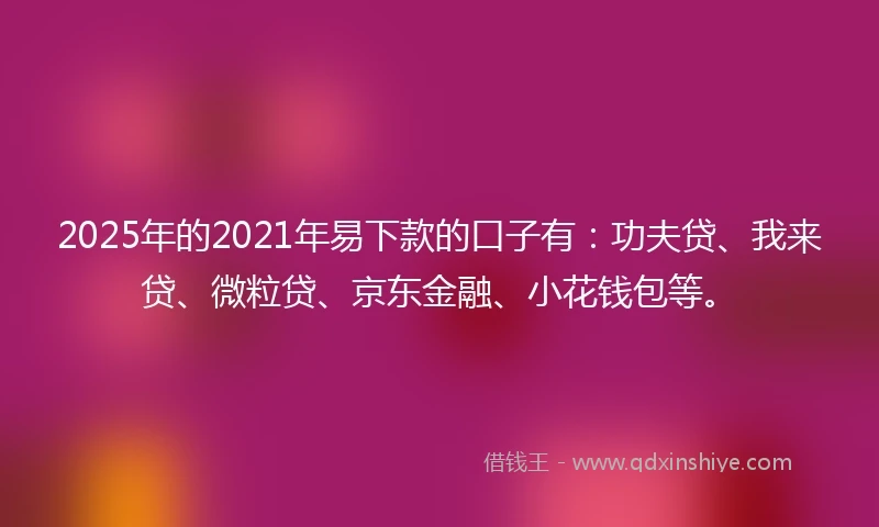 2025年的2021年易下款的口子有：功夫贷、我来贷、微粒贷、京东金融、小花钱包等。
