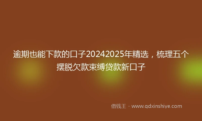 逾期也能下款的口子20242025年精选，梳理五个摆脱欠款束缚贷款新口子