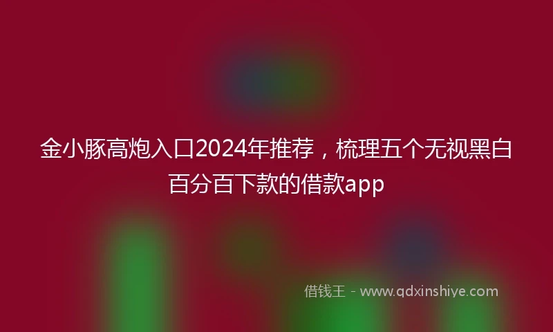 金小豚高炮入口2024年推荐，梳理五个无视黑白百分百下款的借款app