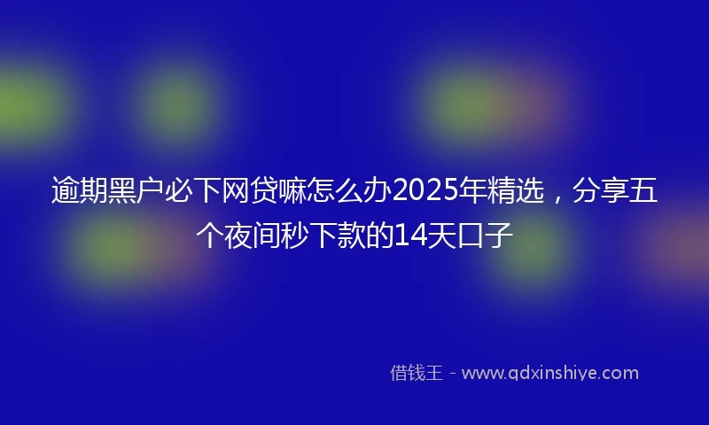 逾期黑户必下网贷嘛怎么办2025年精选，分享五个夜间秒下款的14天口子