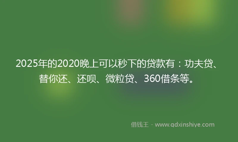 2025年的2020晚上可以秒下的贷款有：功夫贷、替你还、还呗、微粒贷、360借条等。