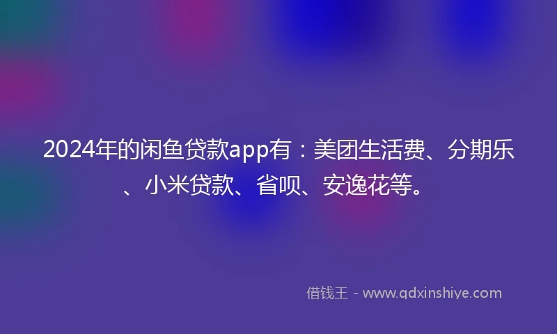 2024年的闲鱼贷款app有：美团生活费、分期乐、小米贷款、省呗、安逸花等。