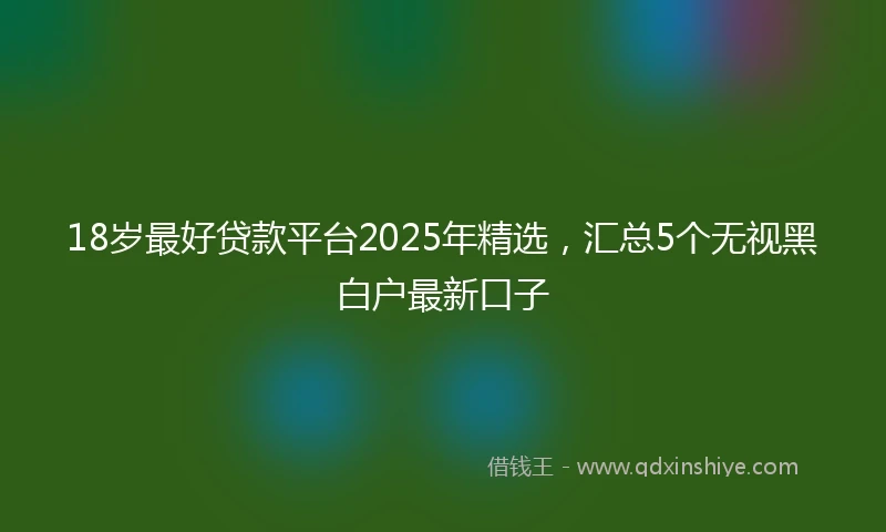18岁最好贷款平台2025年精选，汇总5个无视黑白户最新口子