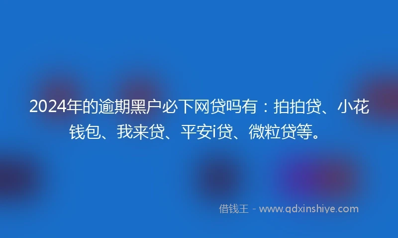 2024年的逾期黑户必下网贷吗有：拍拍贷、小花钱包、我来贷、平安i贷、微粒贷等。