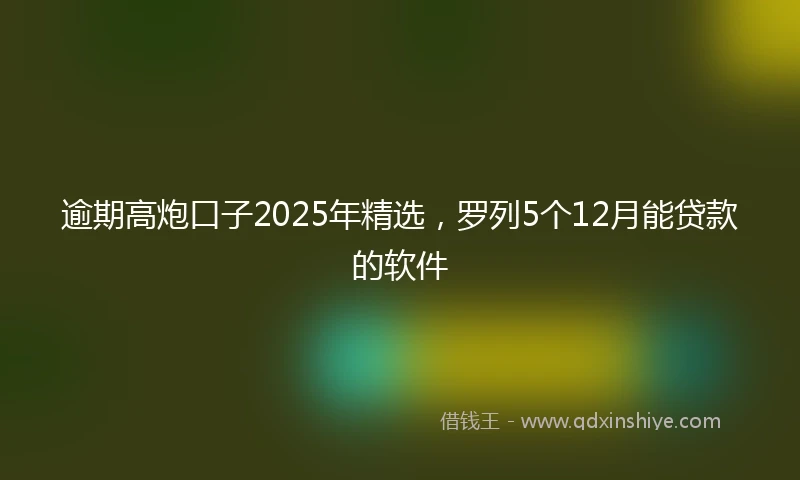 逾期高炮口子2025年精选，罗列5个12月能贷款的软件