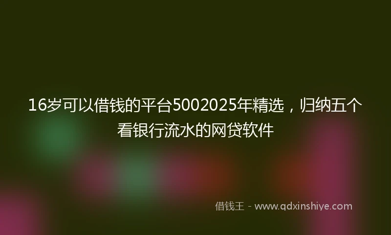 16岁可以借钱的平台5002025年精选，归纳五个看银行流水的网贷软件