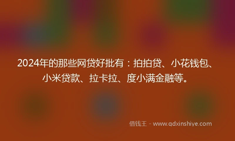 2024年的那些网贷好批有：拍拍贷、小花钱包、小米贷款、拉卡拉、度小满金融等。