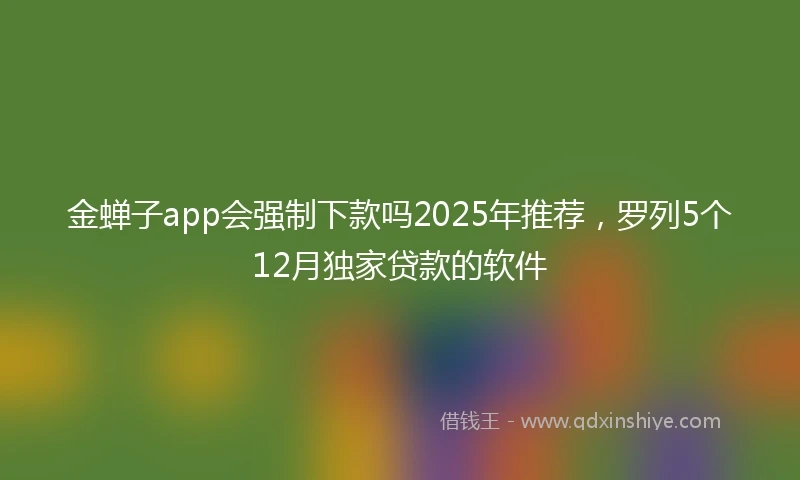 金蝉子app会强制下款吗2025年推荐，罗列5个12月独家贷款的软件