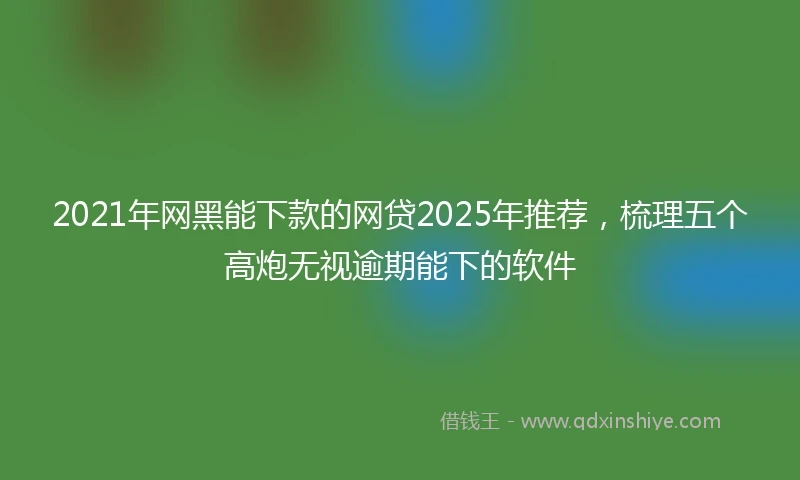 2021年网黑能下款的网贷2025年推荐，梳理五个高炮无视逾期能下的软件