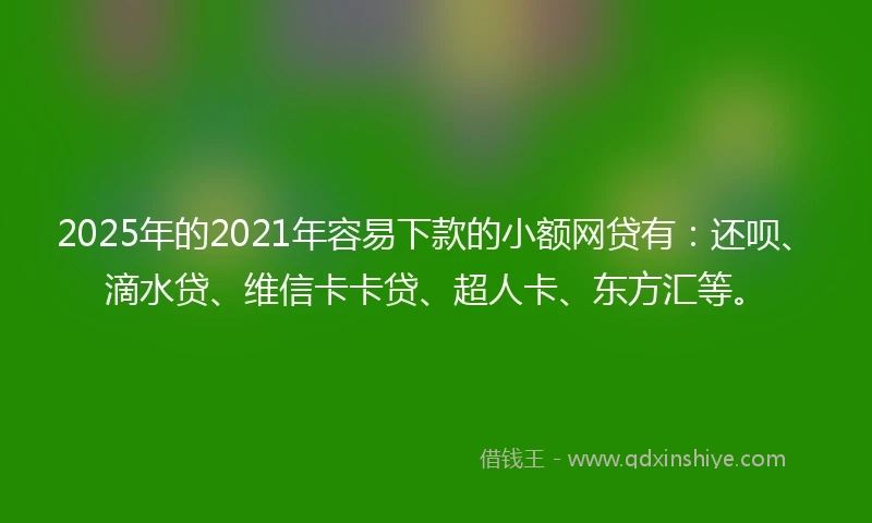 2025年的2021年容易下款的小额网贷有：还呗、滴水贷、维信卡卡贷、超人卡、东方汇等。