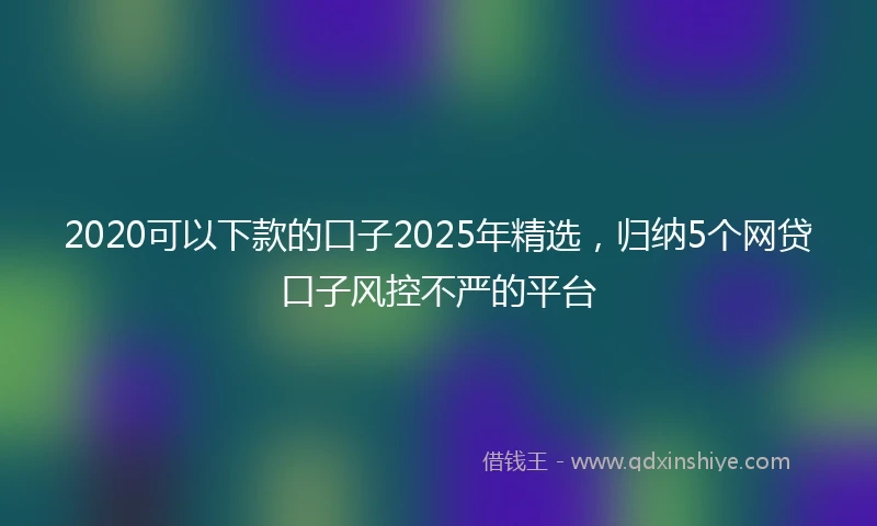 2020可以下款的口子2025年精选，归纳5个网贷口子风控不严的平台