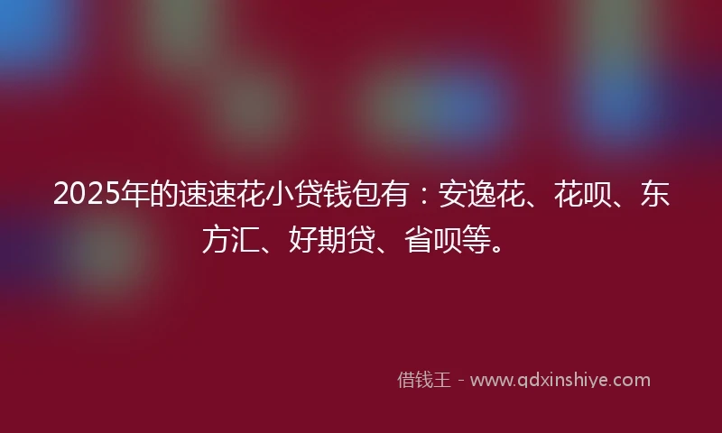 2025年的速速花小贷钱包有：安逸花、花呗、东方汇、好期贷、省呗等。