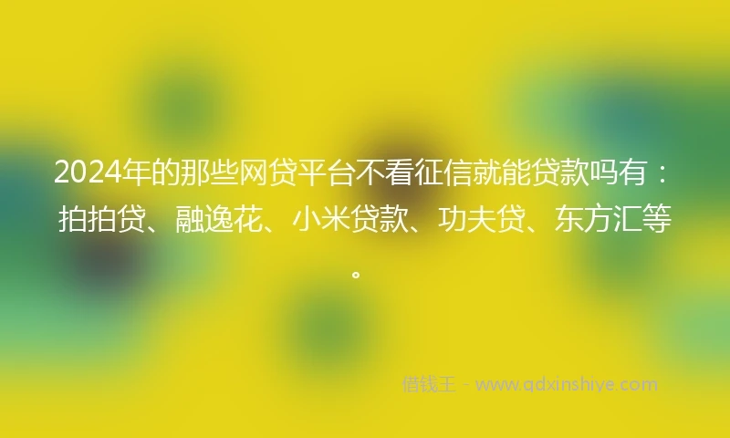 2024年的那些网贷平台不看征信就能贷款吗有：拍拍贷、融逸花、小米贷款、功夫贷、东方汇等。