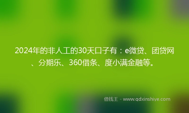 2024年的非人工的30天口子有：e微贷、团贷网、分期乐、360借条、度小满金融等。