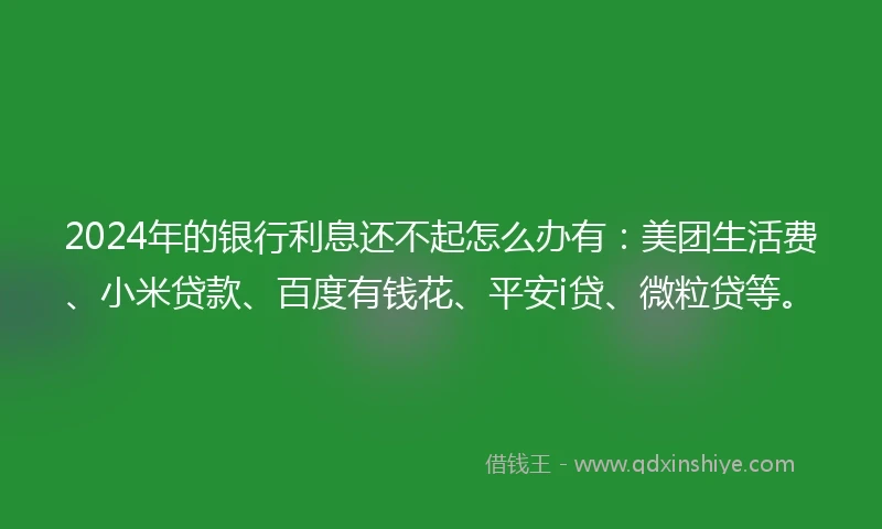 2024年的银行利息还不起怎么办有：美团生活费、小米贷款、百度有钱花、平安i贷、微粒贷等。