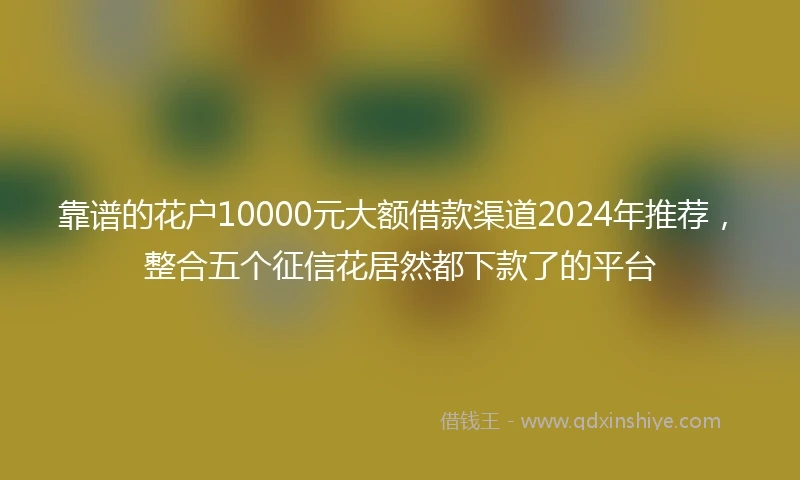 靠谱的花户10000元大额借款渠道2024年推荐，整合五个征信花居然都下款了的平台