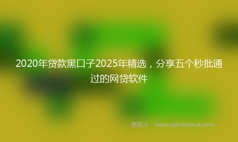 2020年贷款黑口子2025年精选，分享五个秒批通过的网贷软件