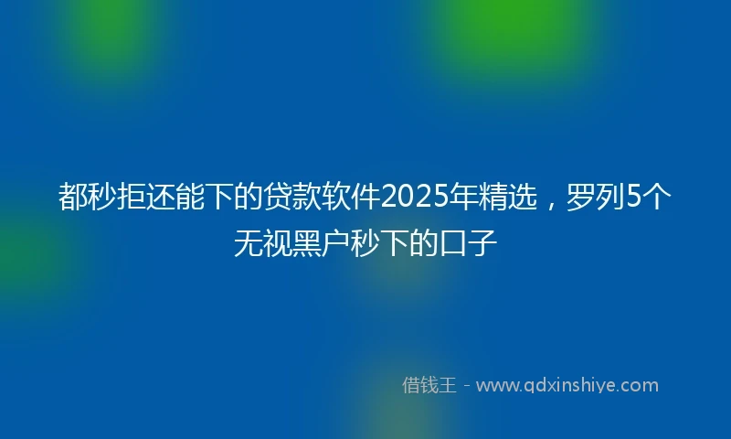 都秒拒还能下的贷款软件2025年精选，罗列5个无视黑户秒下的口子
