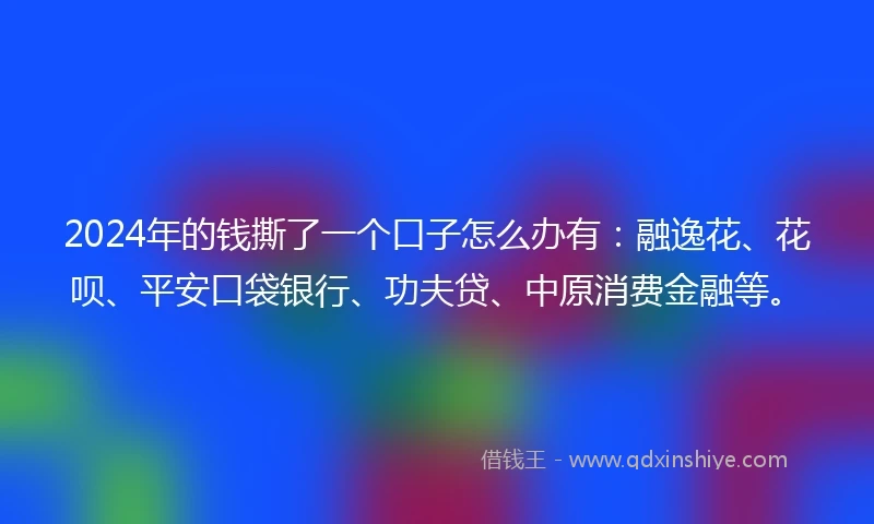 2024年的钱撕了一个口子怎么办有：融逸花、花呗、平安口袋银行、功夫贷、中原消费金融等。