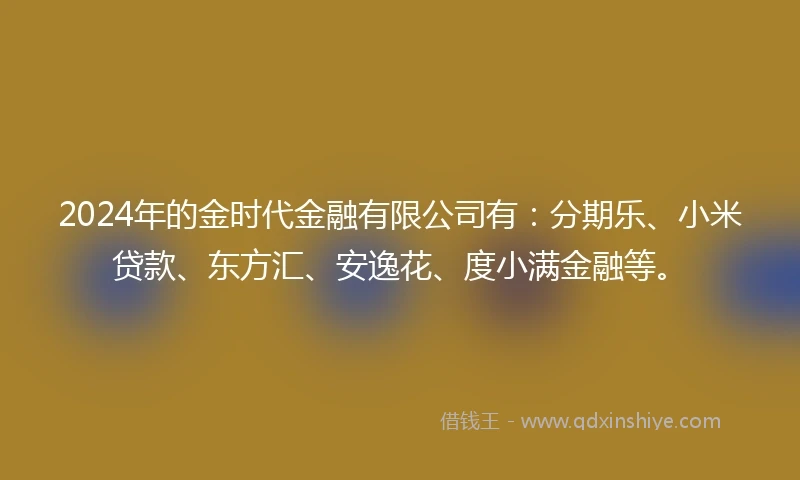 2024年的金时代金融有限公司有：分期乐、小米贷款、东方汇、安逸花、度小满金融等。