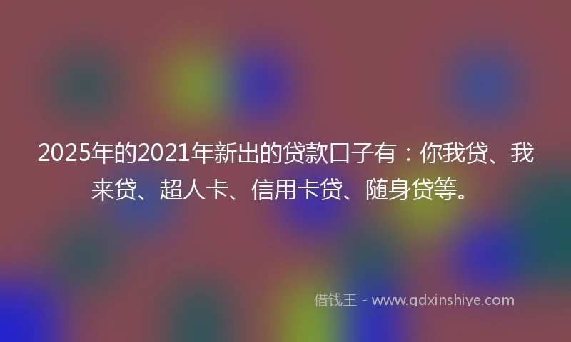 2025年的2021年新出的贷款口子有：你我贷、我来贷、超人卡、信用卡贷、随身贷等。