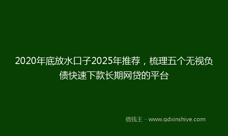 2020年底放水口子2025年推荐，梳理五个无视负债快速下款长期网贷的平台