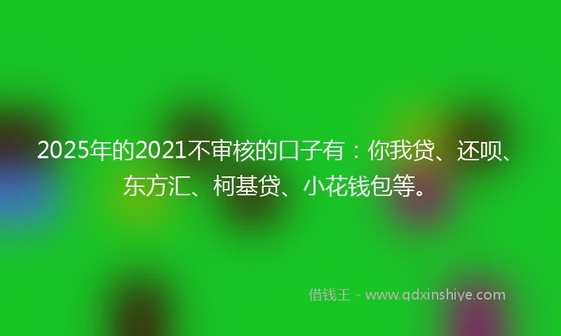 2025年的2021不审核的口子有：你我贷、还呗、东方汇、柯基贷、小花钱包等。